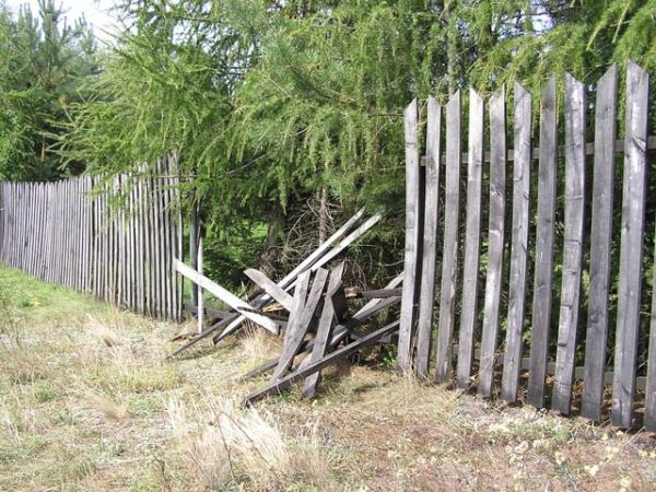 Wooden Fences